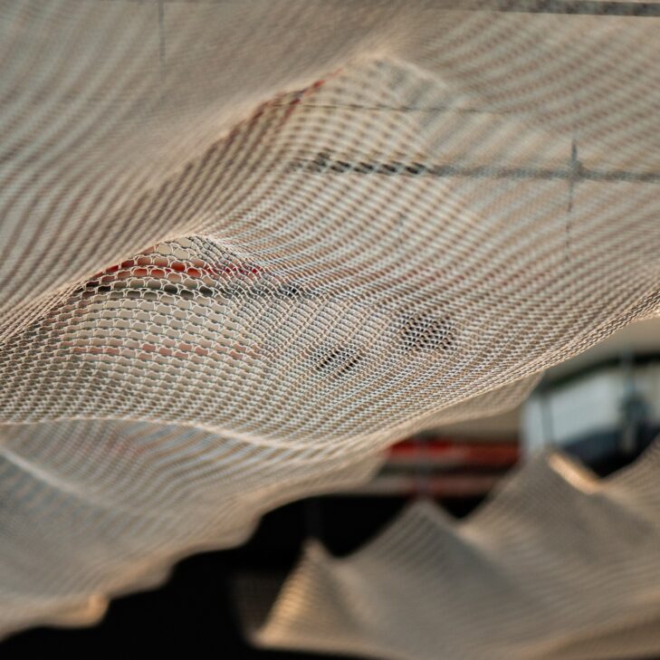 Lankstaus tinklo lubu danga